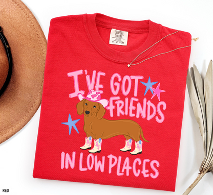 I’ve Got Friends In Low Places Comfort Colors T-Shirt