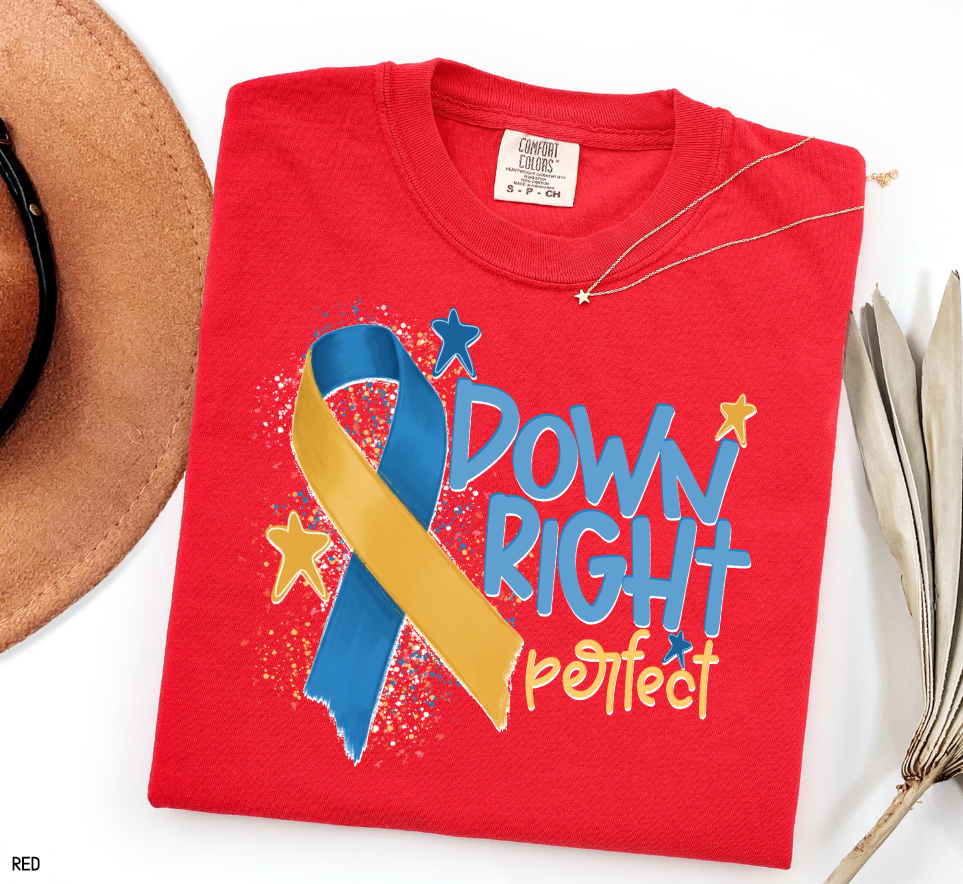 Down Right Perfect Adult Comfort Colors T-shirt