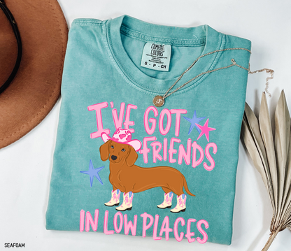 I’ve Got Friends In Low Places Comfort Colors T-Shirt