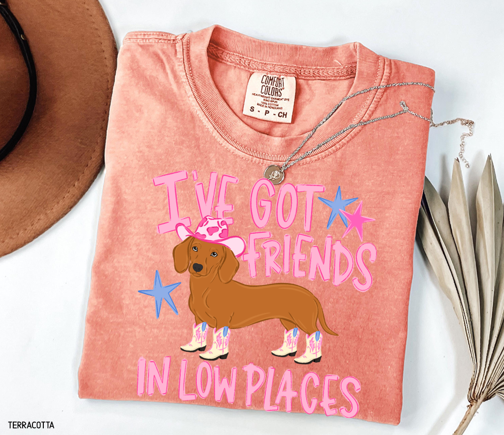 I’ve Got Friends In Low Places Comfort Colors T-Shirt