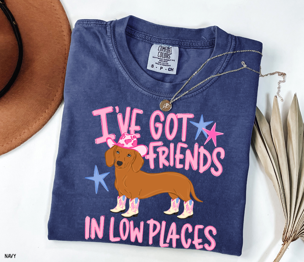 I’ve Got Friends In Low Places Comfort Colors T-Shirt