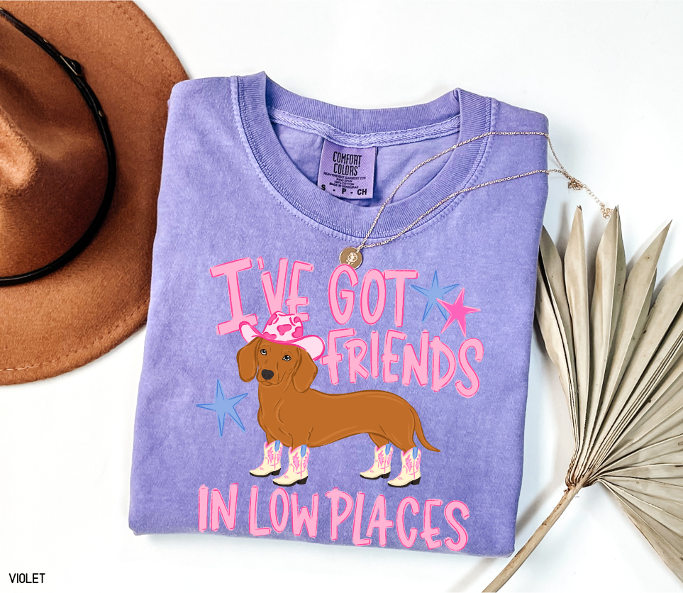 I’ve Got Friends In Low Places Comfort Colors T-Shirt