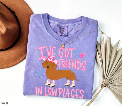 I’ve Got Friends In Low Places Comfort Colors T-Shirt