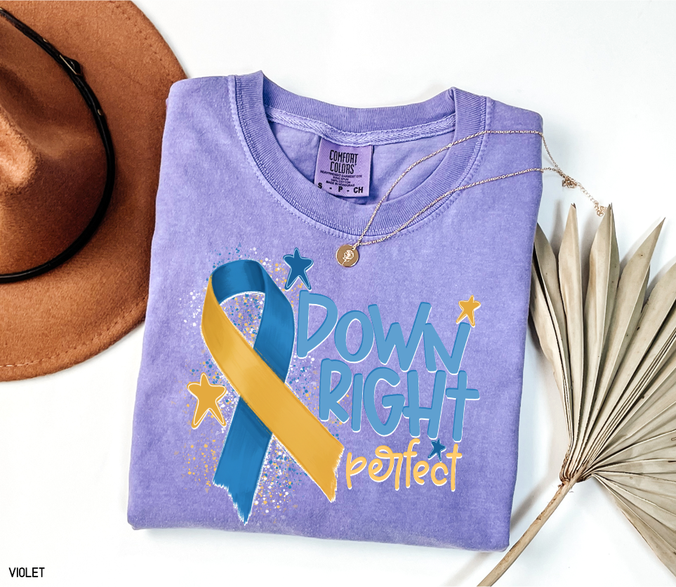 Down Right Perfect Adult Comfort Colors T-shirt