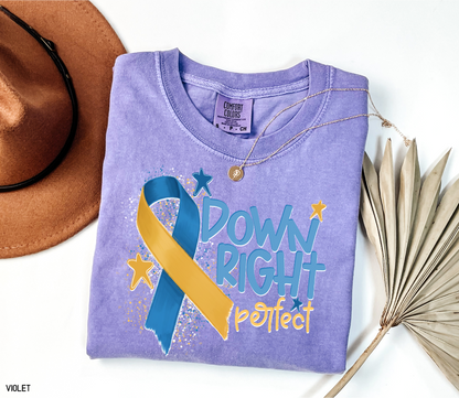 Down Right Perfect Adult Comfort Colors T-shirt