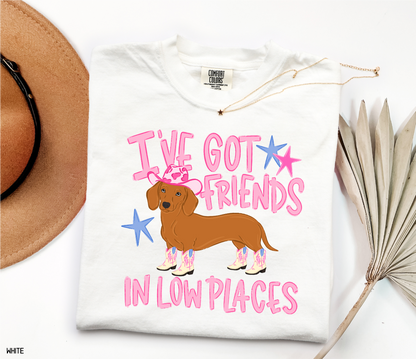I’ve Got Friends In Low Places Comfort Colors T-Shirt