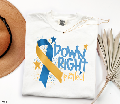 Down Right Perfect Adult Comfort Colors T-shirt