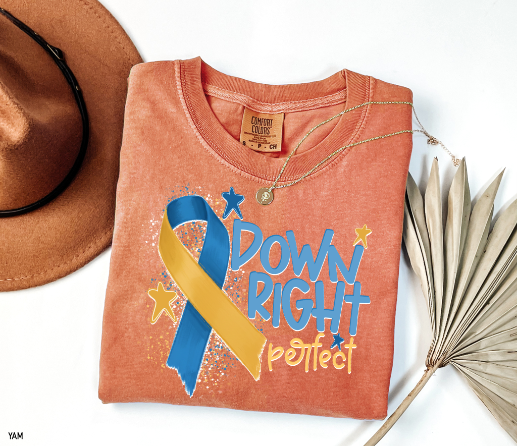 Down Right Perfect Adult Comfort Colors T-shirt