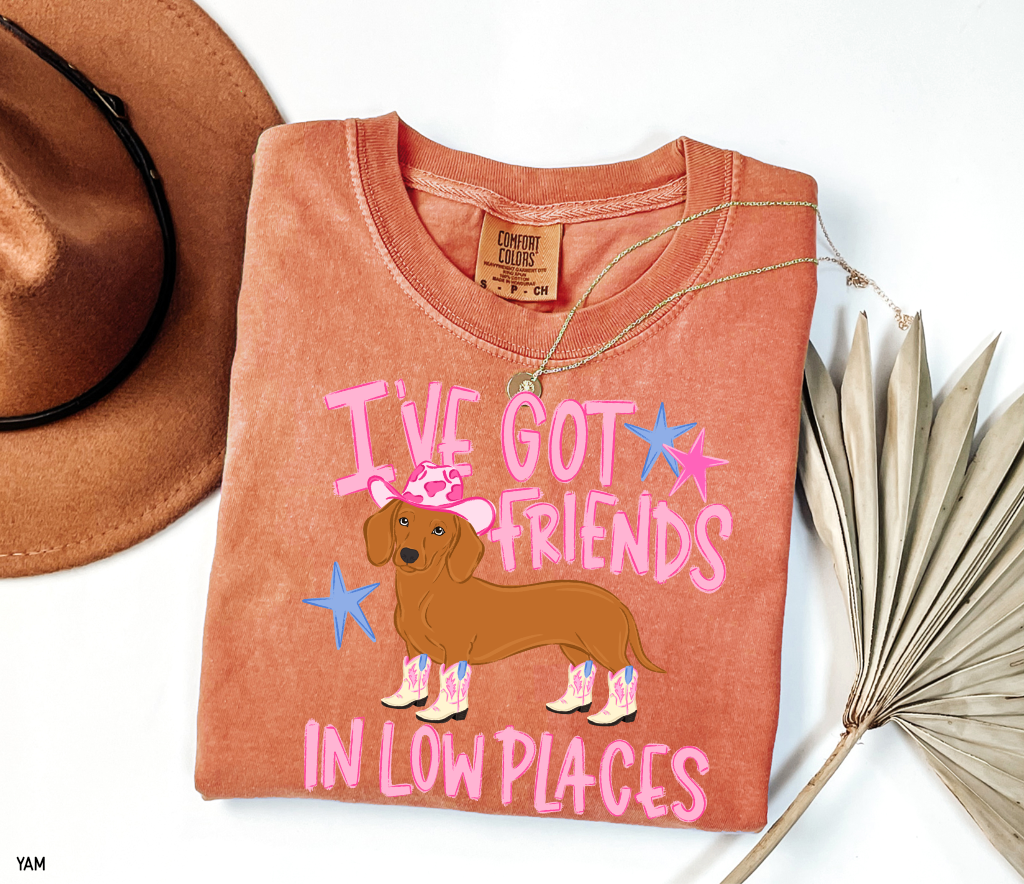 I’ve Got Friends In Low Places Comfort Colors T-Shirt