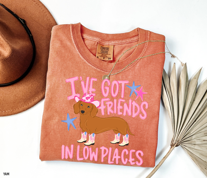 I’ve Got Friends In Low Places Comfort Colors T-Shirt